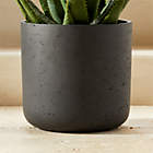 Cheva White Ceramic Indoor/Outdoor Planter with Teak Stand 18.25"x22.5"