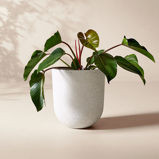 Seminyak Grey Cement Indoor/Outdoor Large Planter 22"H