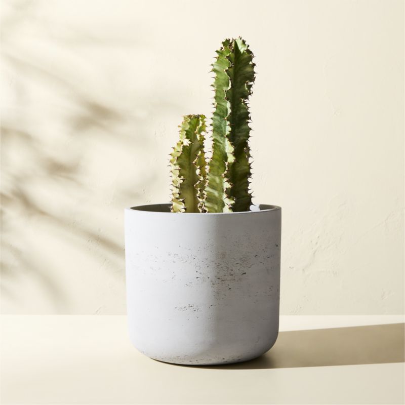 View Seminyak Grey Cement Indoor/Outdoor Small Planter 9.5" details