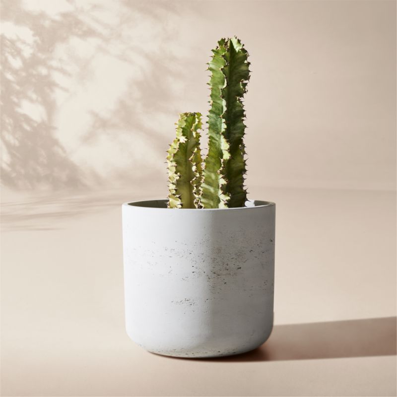 View Seminyak Grey Cement Indoor/Outdoor Small Planter 9.5"H details