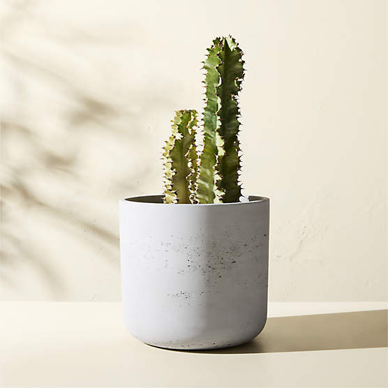 Seminyak Grey Cement Indoor/Outdoor Small Planter 9.5"
