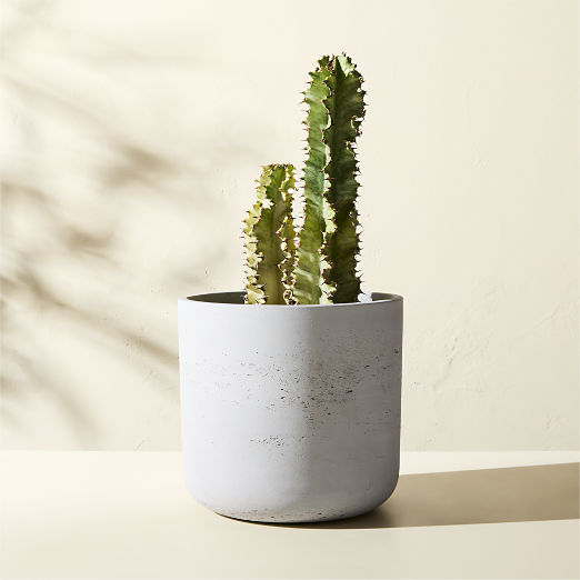 Seminyak Grey Cement Indoor/Outdoor Small Planter 9.5"