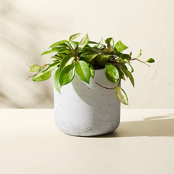 Seminyak Grey Cement Indoor/Outdoor Planter XXS