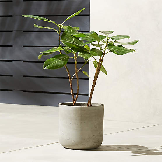 Seminyak Grey Cement Indoor/Outdoor Planter XS