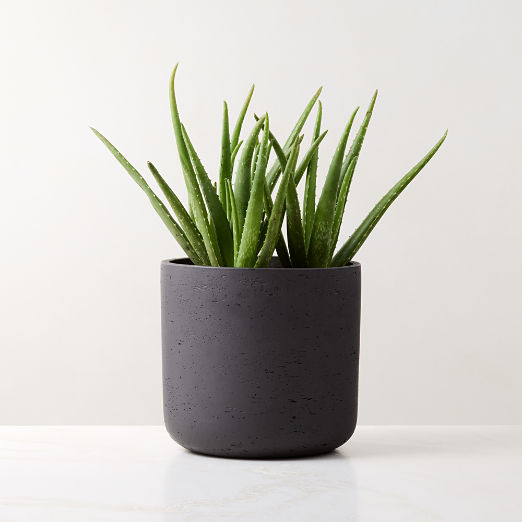 Seminyak Black Cement Indoor/Outdoor Small Planter 9.5"H