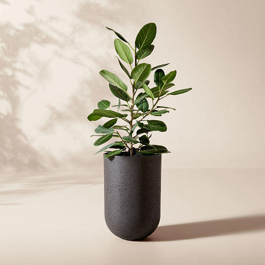 Seminyak Black Cement Indoor/Outdoor Medium Planter 20"H