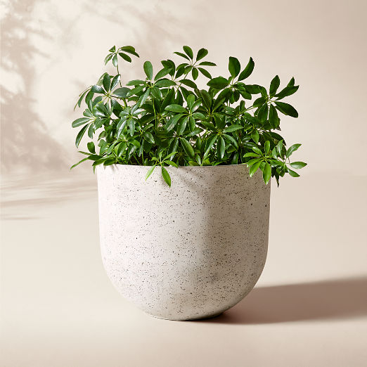 Seminyak Grey Cement Indoor/Outdoor Medium Planter 14.5"H