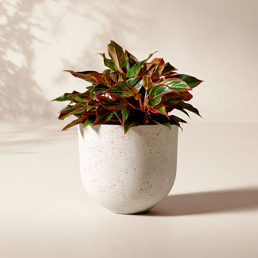Seminyak Grey Cement Indoor/Outdoor Small Planter 12.25"H