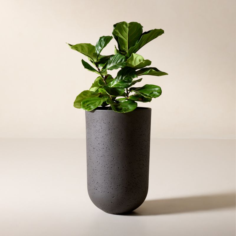 View Seminyak Black Cement Indoor/Outdoor Large Planter 26.75"H details