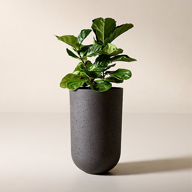 Seminyak Black Cement Indoor/Outdoor Large Planter 26.75