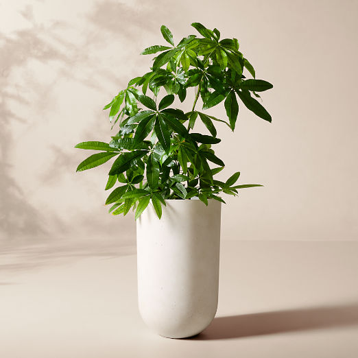 Seminyak Grey Cement Indoor/Outdoor XL Planter 31.5"H
