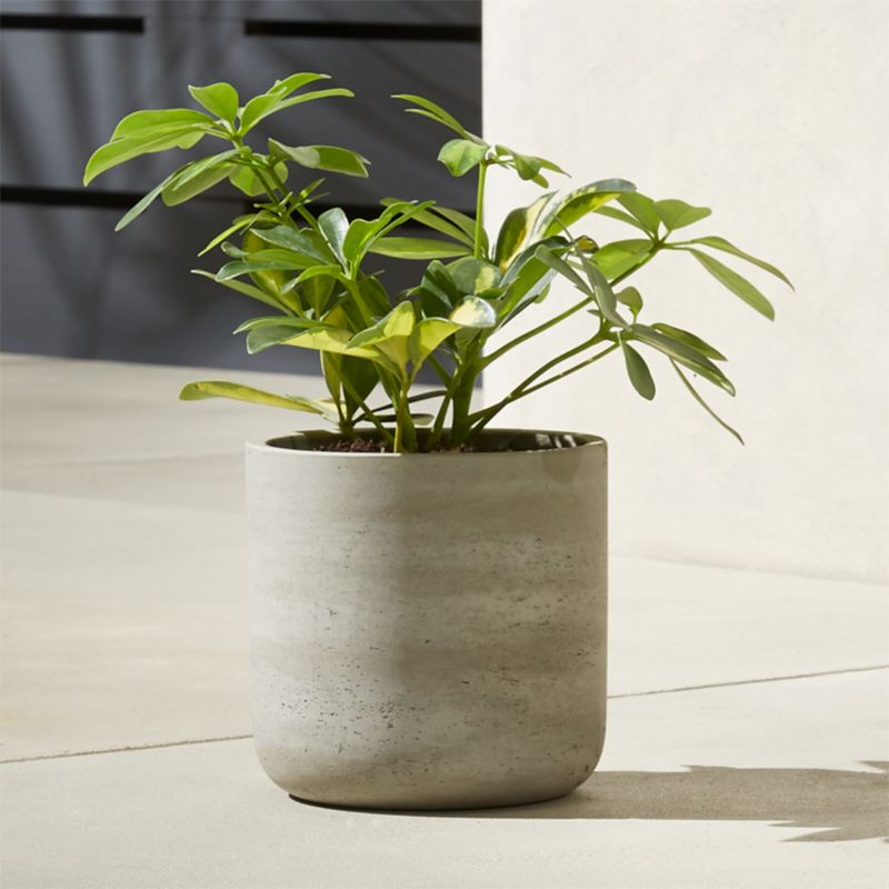 Seminyak Grey Cement Indoor/Outdoor Planter Mini - image 2 of 9