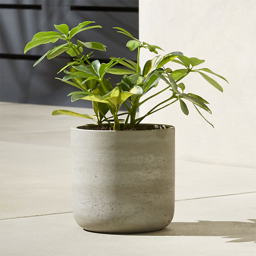 Seminyak Grey Cement Indoor/Outdoor Planter Mini