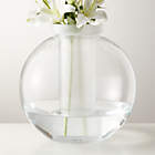 Amata Round Clear Glass Vase