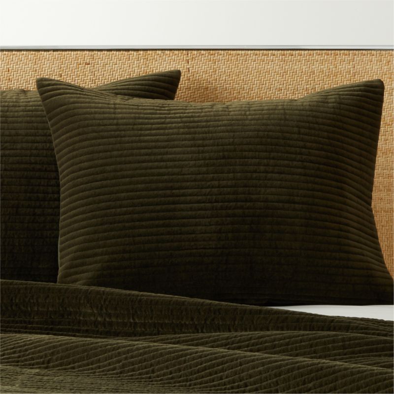 Viewing product image Shadow Velvet Forest Green Standard Pillow Shams Set of 2 - image 1 of 4