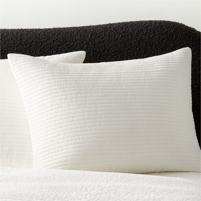 Shadow Ivory Velvet King Pillow Shams Set of 2 + Reviews | CB2