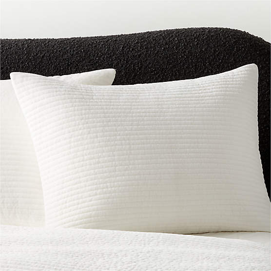 Shadow Ivory Velvet Standard Pillow Shams Set of 2