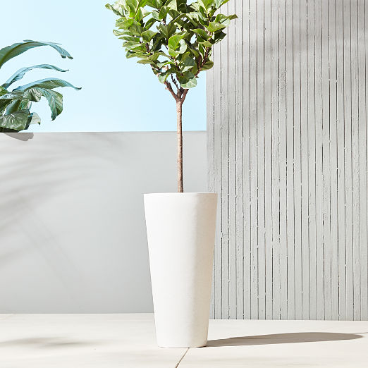 Shore White Cement Indoor/Outdoor Large Planter 28"H