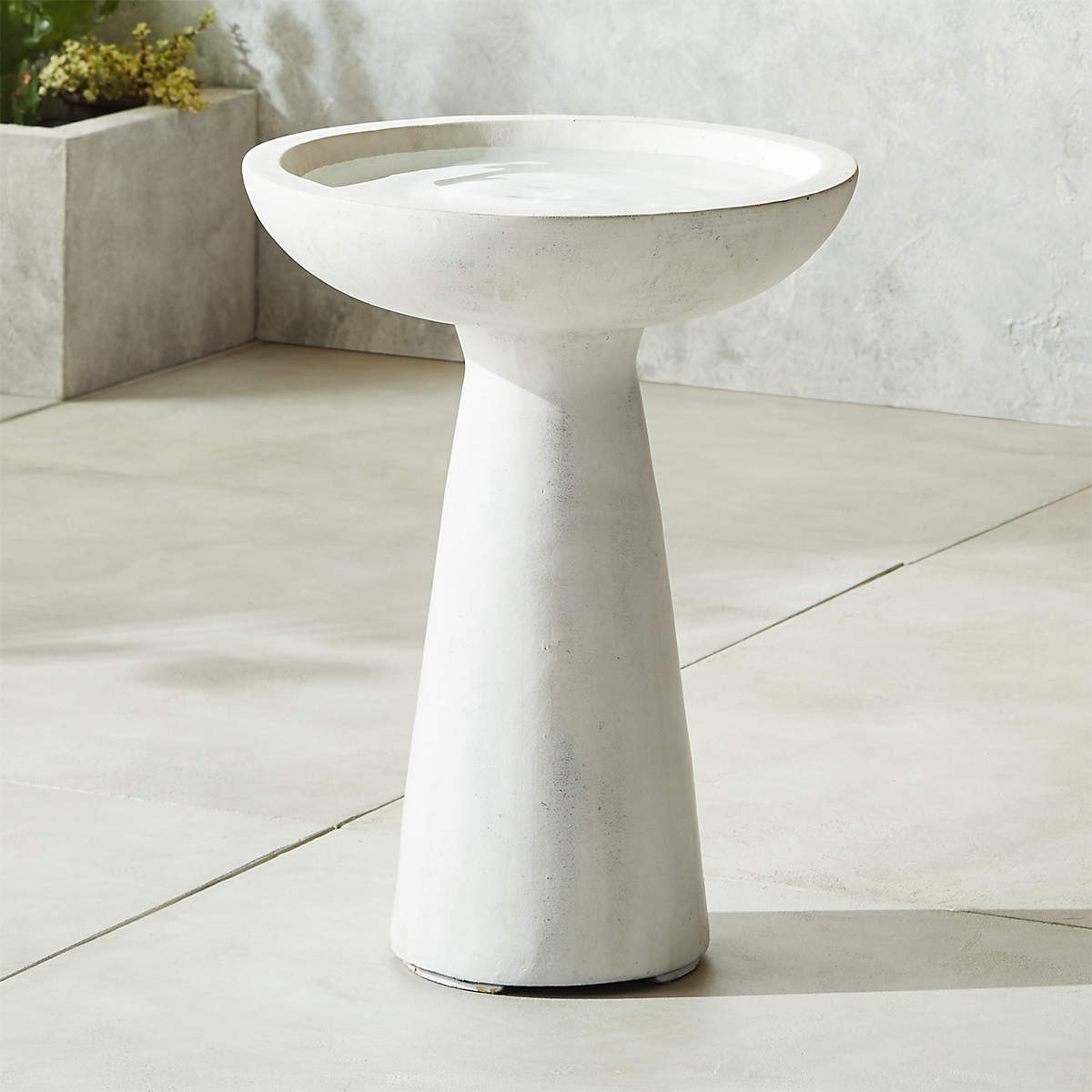 Skinny Dip Bird Bath + Reviews CB2