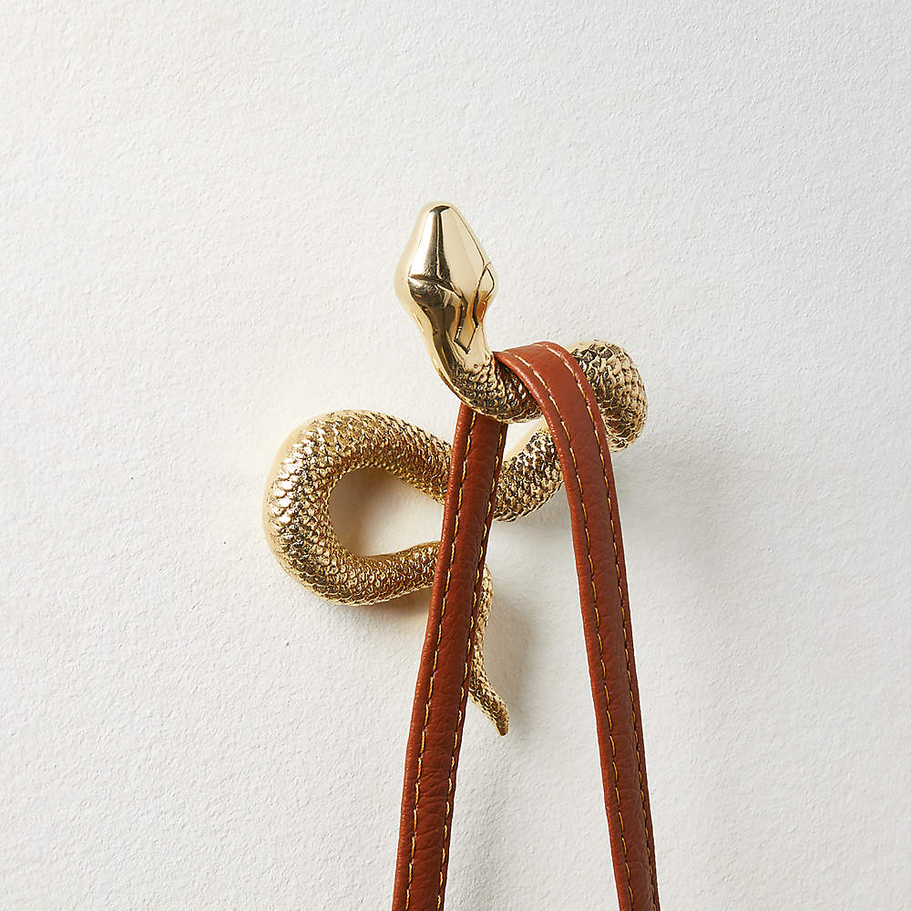 Modern Unlacquered Brass Snake Wall Hook + Reviews, brass coat hook