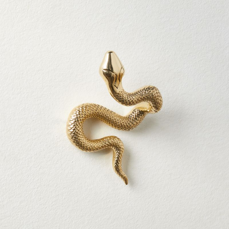 Modern Unlacquered Brass Snake Wall Hook + Reviews