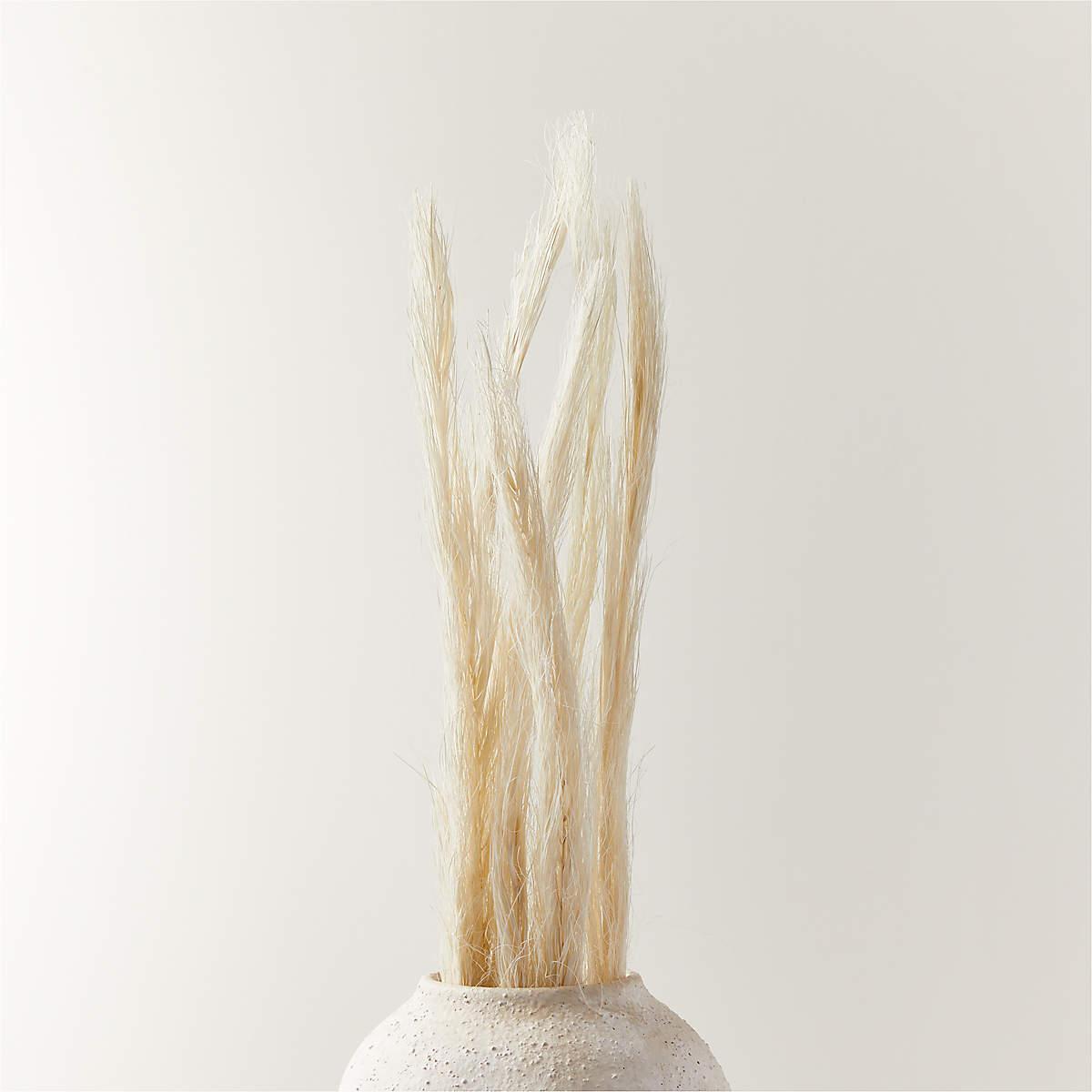 Split Bleached Dried Palm Stem Bunch 34" (Open Larger View)