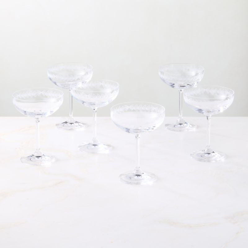 Spruce Etched Coupe Glass Set of 6 - image 2 of 5