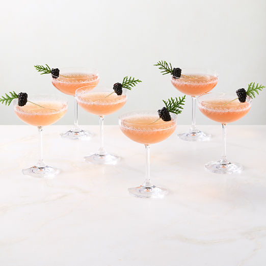Spruce Etched Coupe Glass Set of 6