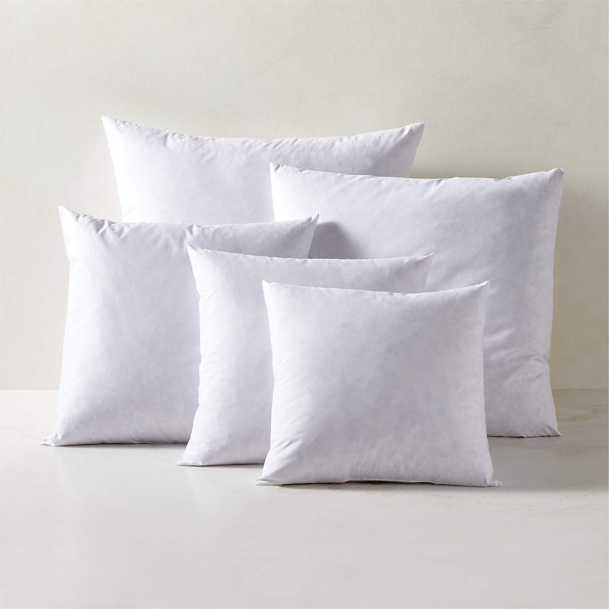 FeatherDown Square Modern Throw Pillow Inserts CB2