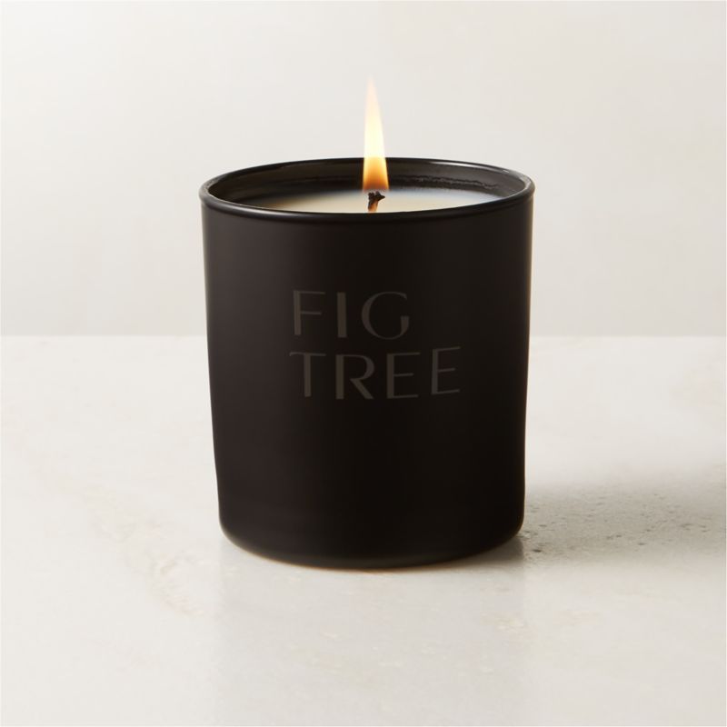 Stockhome Fig Tree Scented Candle 8oz - image 1 of 3