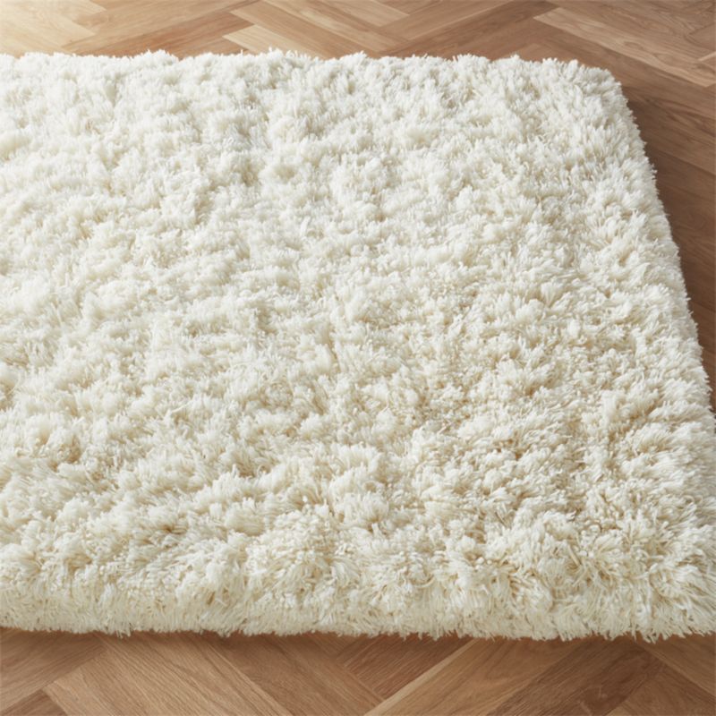 shag carpet