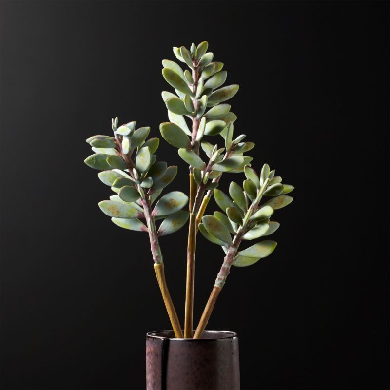 Cb2 Free Shipping >> Faux Succulent Stem 21" + Reviews | CB2 Cb2 Free Shipping >> Faux Succulent Stem 21" + Reviews | CB2