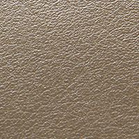 Taupe Leather