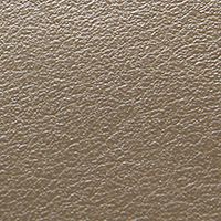 Taupe Leather