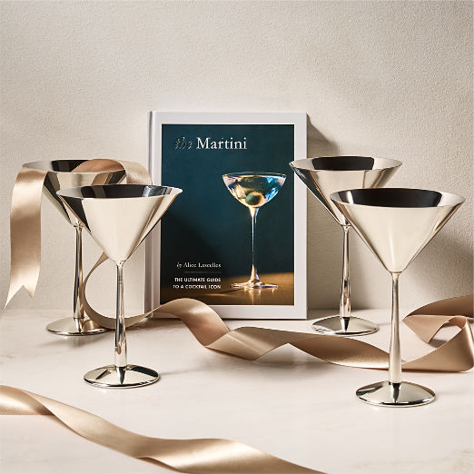 The Martini Master Gift Set