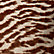 Sienna Brown