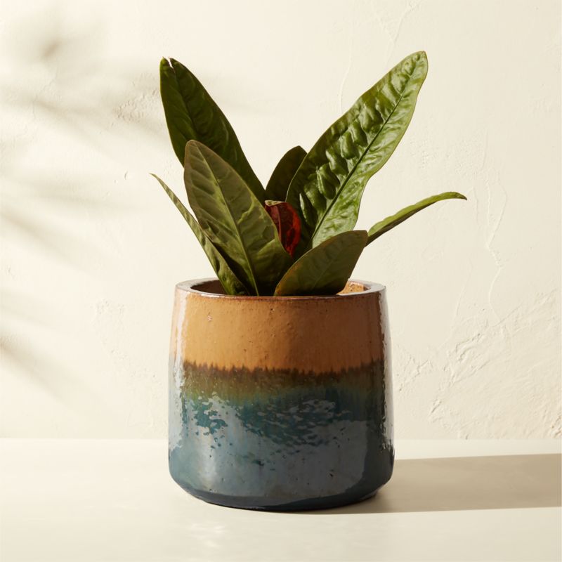 Tramonto Round Two-Tone Green and Natural Reactive Glaze Ceramic Indoor/Outdoor Planter Small - image 0 of 7