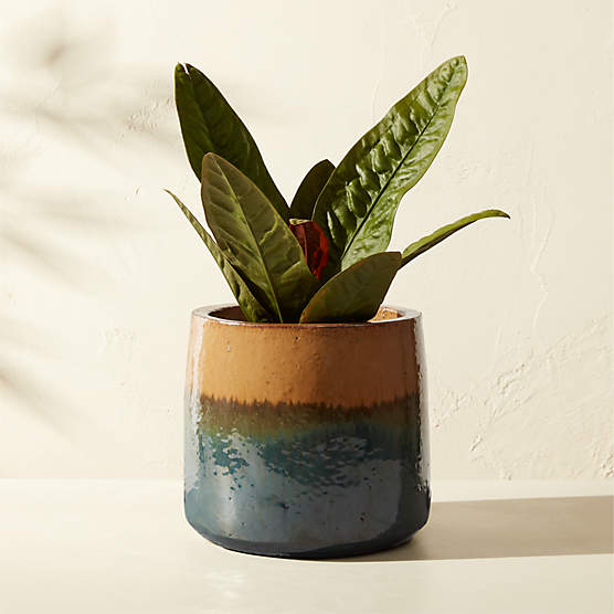 Tramonto Round Two-Tone Green and Natural Reactive Glaze Ceramic Indoor/Outdoor Planter Small