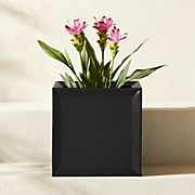Varo Square White Metal Indoor/Outdoor Planter 12.5"x12.5"