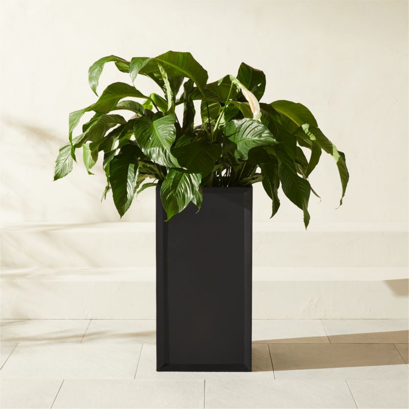 Varo Square Black Metal Indoor/Outdoor Planter 16.25"x32" - image 0 of 5