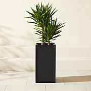 Varo Square Black Metal Indoor/Outdoor Planter 12.5"x24"