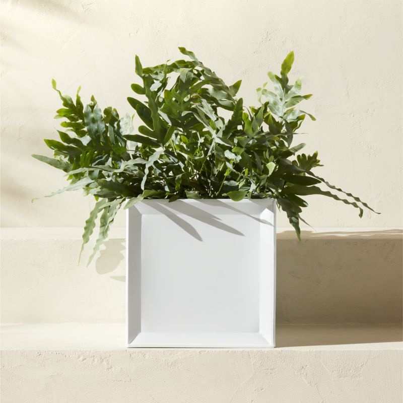 Varo Square White Metal Indoor/Outdoor Planter 12.5"x12.5" - image 0 of 5