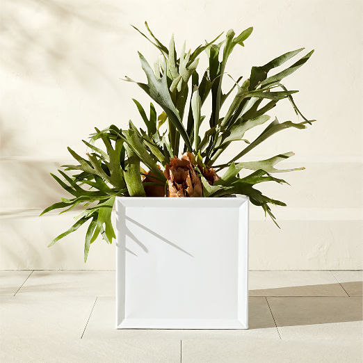 Varo Square White Metal Indoor/Outdoor Planter 16.25"x16"