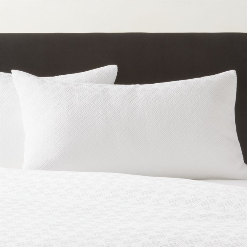 Varra Organic Cotton Jacquard White King Pillow Shams Set of 2 - image 0 of 5