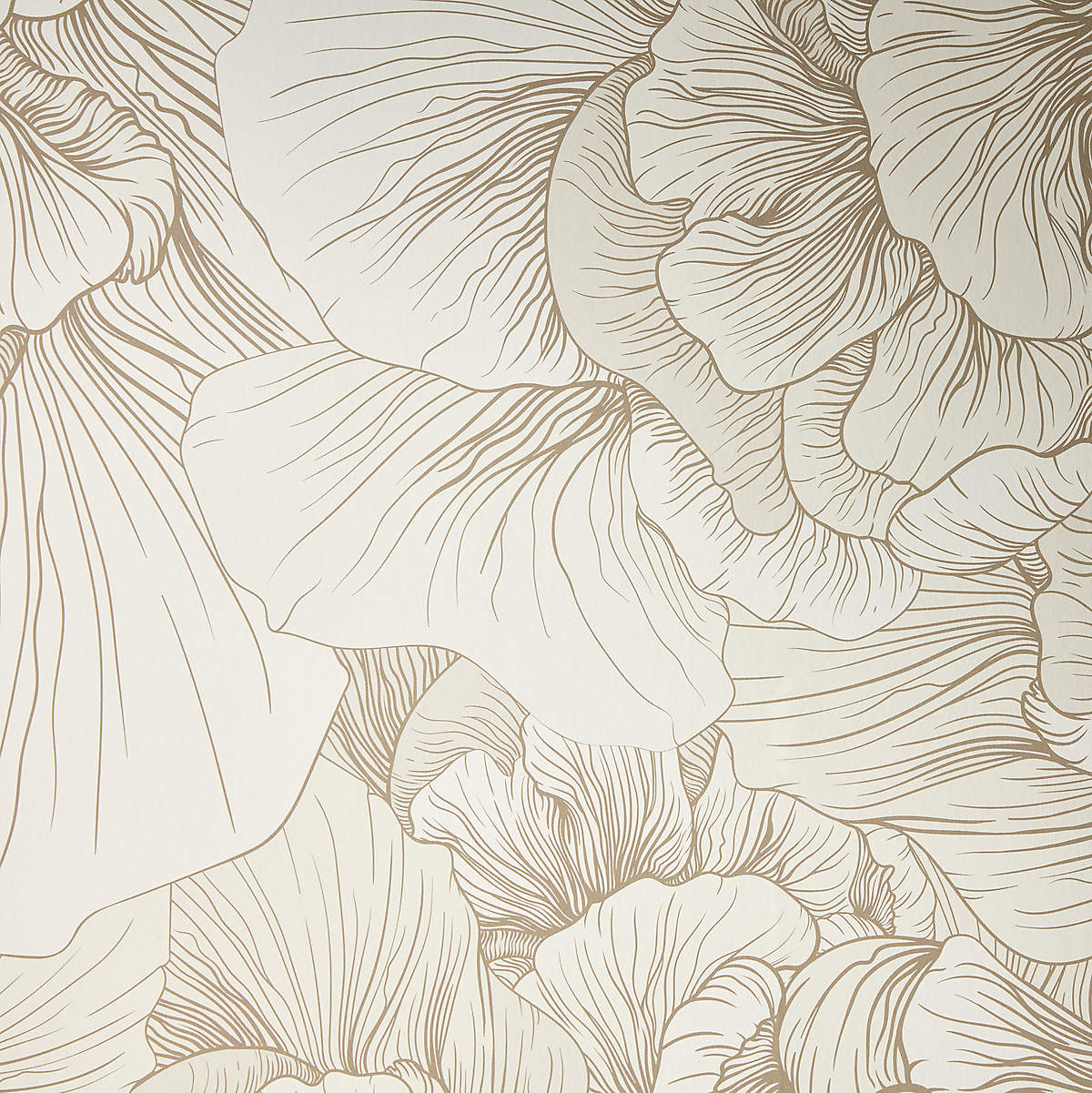 Venation Ivory Floral Wallpaper + Reviews | CB2 Canada