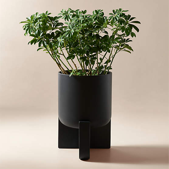 Verro Black Cement Standing Planter Wide