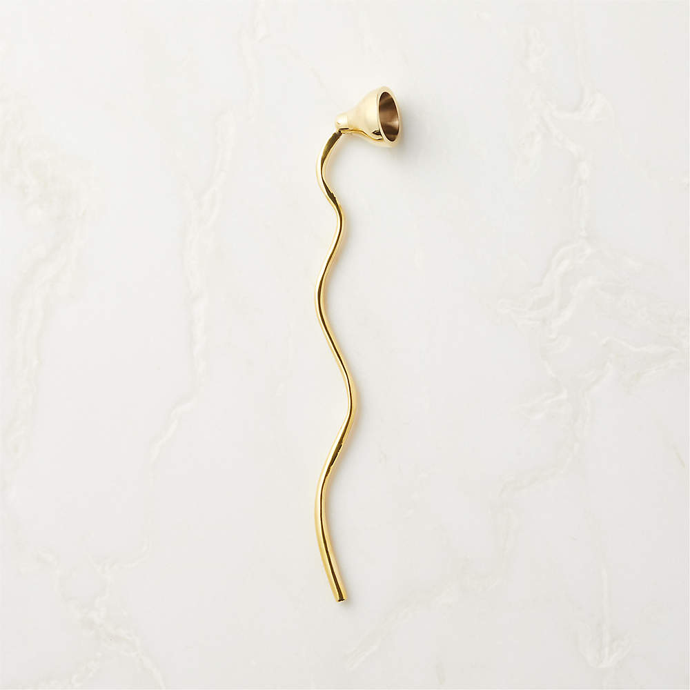 Modern Unlacquered Brass Snake Wall Hook + Reviews