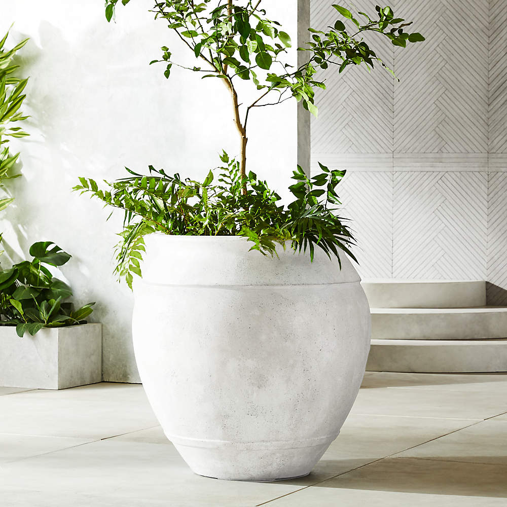 White Belly XXL Outdoor Planter + Reviews  CB15