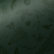 Revelry Green