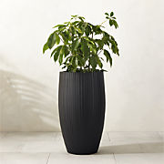 Zadie Black Resin Indoor/Outdoor Planter Large